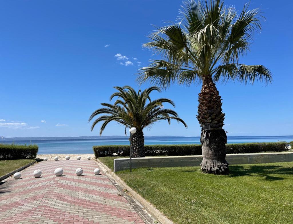 Relax In Sithonia With Ocean Views * Metokhion Konstamonitou