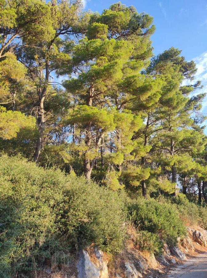 Forest & Sea View Argostoli (Kefalonia)