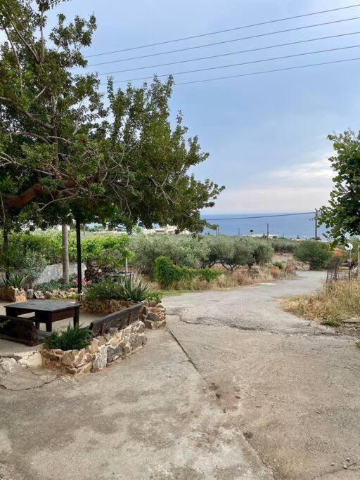 Holiday home Almond Livadia (Crete)