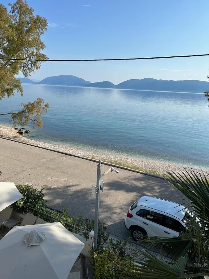 Eucalyptus Sea View *