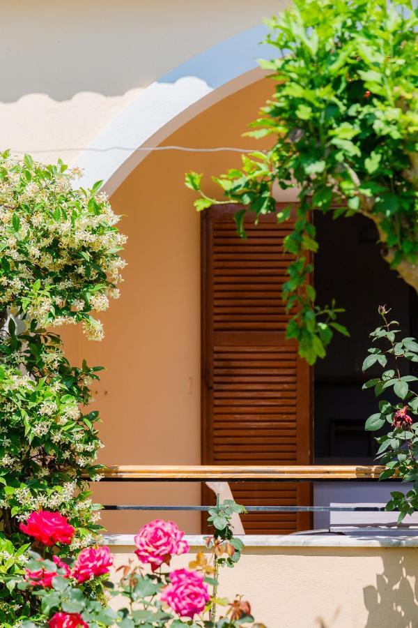 Ilena Hotel Acharavi (Corfu)