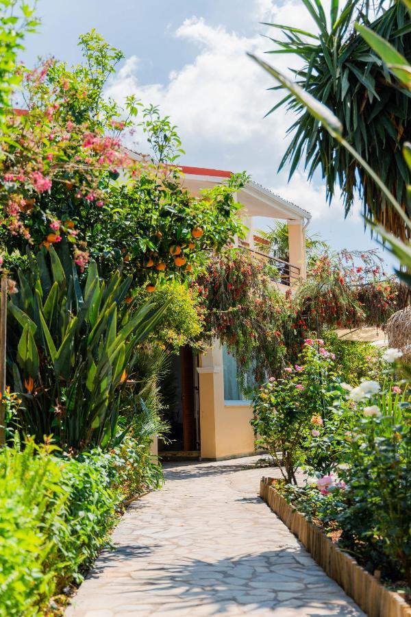 Ilena 2* Acharavi (Corfu)