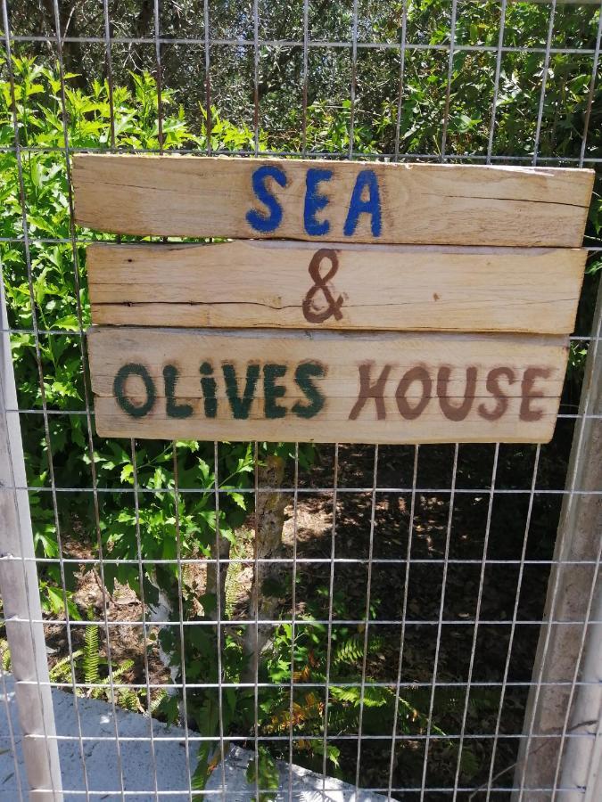 Sea & Olives House Lixouri