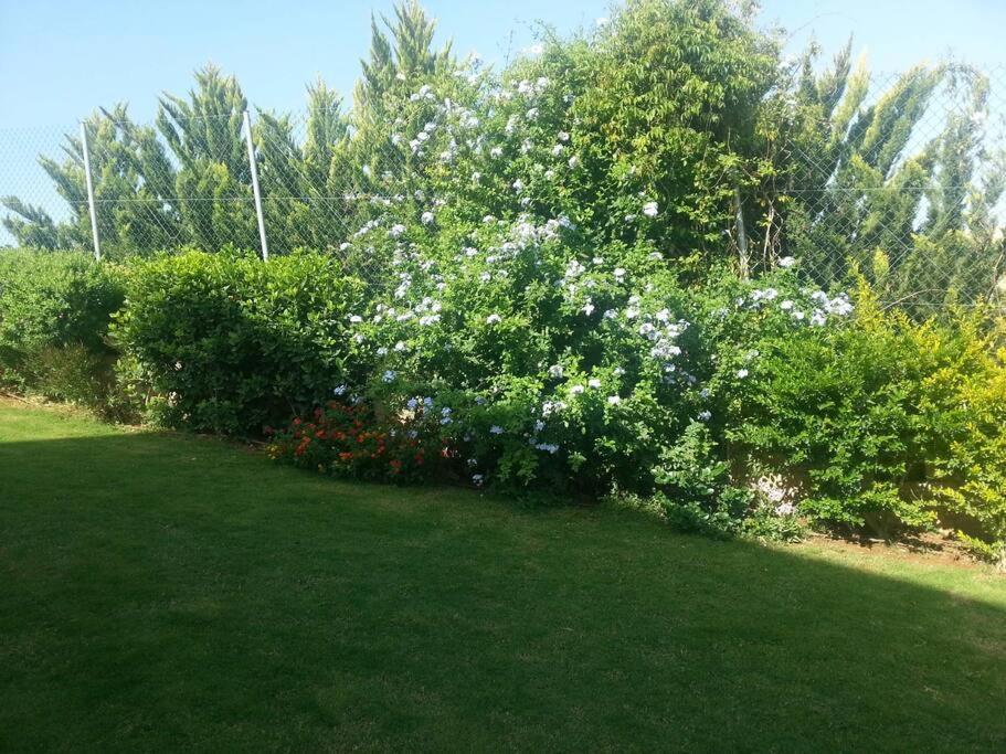 Ermis House