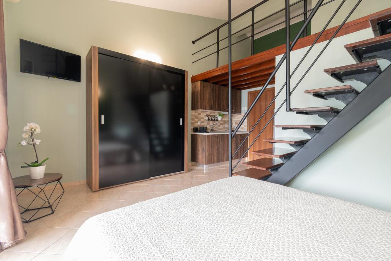 Apartment Diogenis