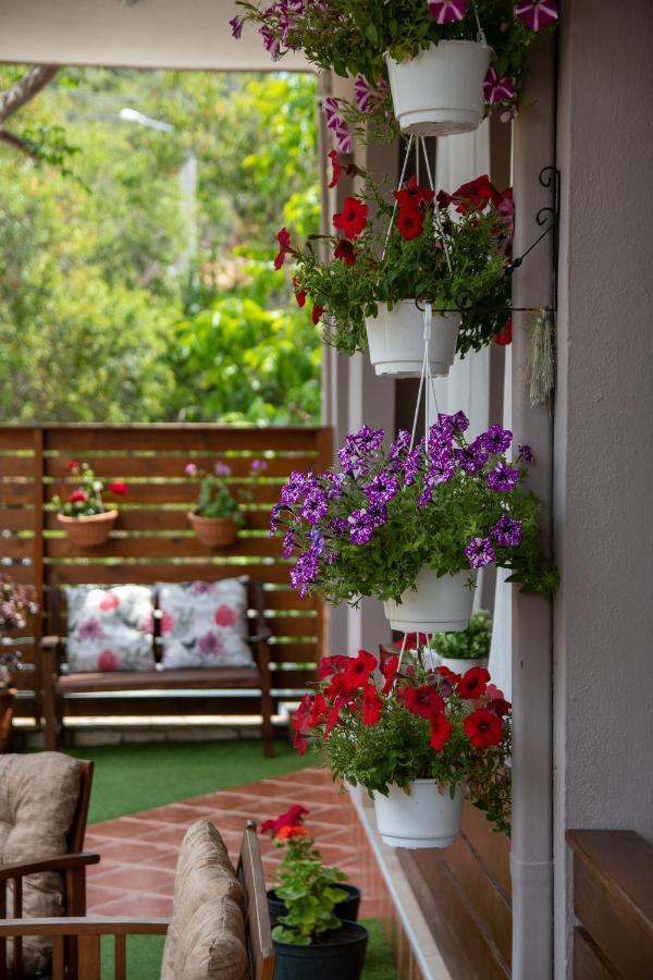 Apartment Diogenis