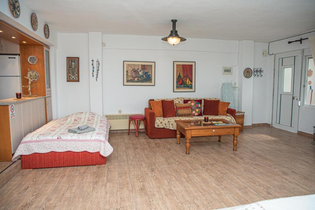 Sweet Dreams At The Seaside Apartment Skala Fourkas