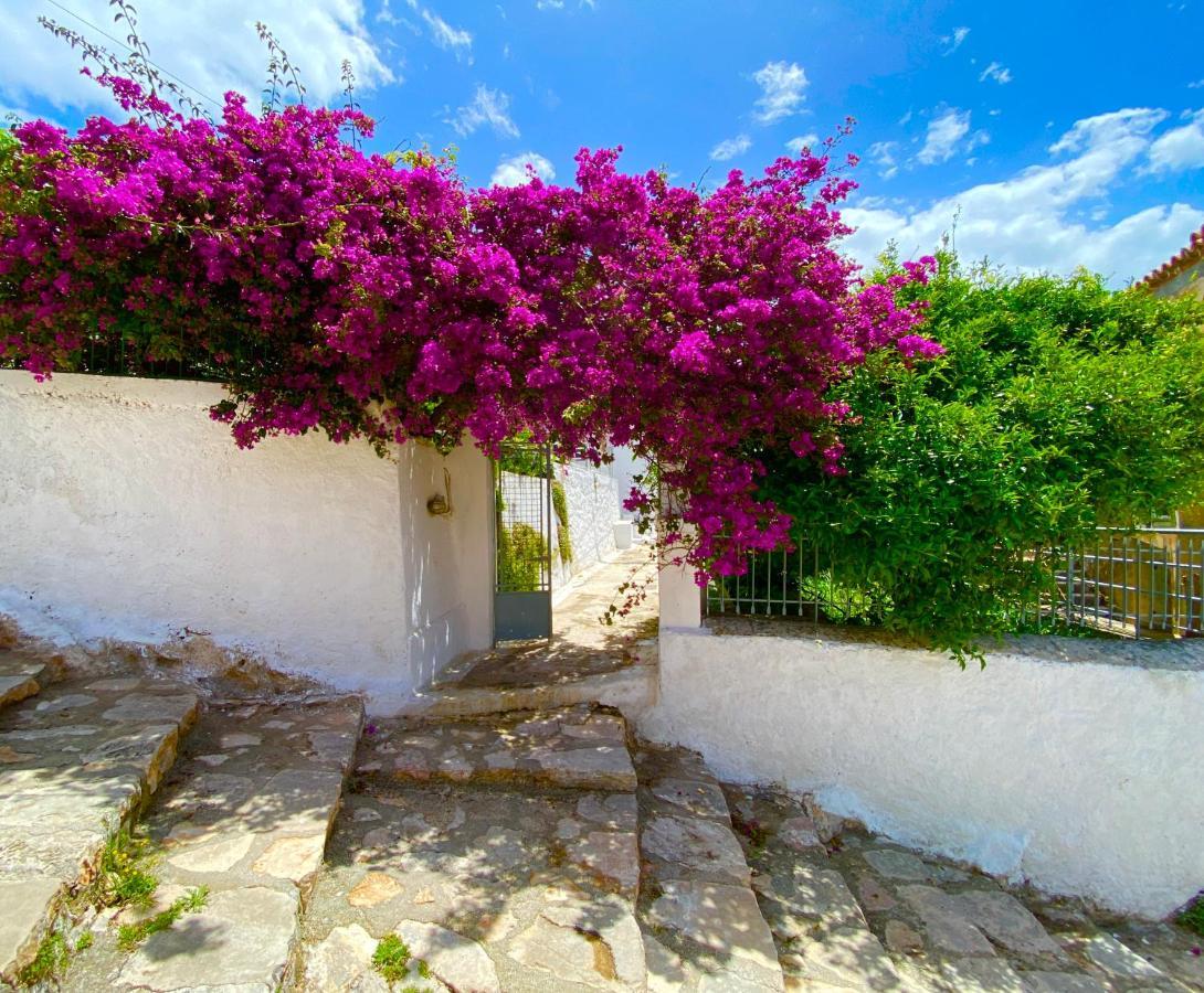 Antiklea Villa