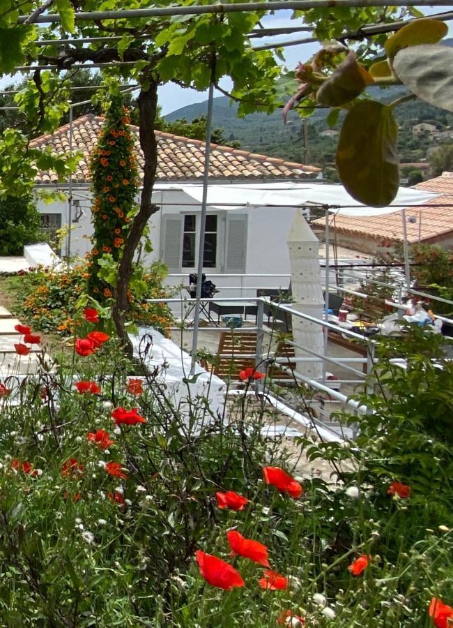 Antiklea Villa Vathy (Ithaca)