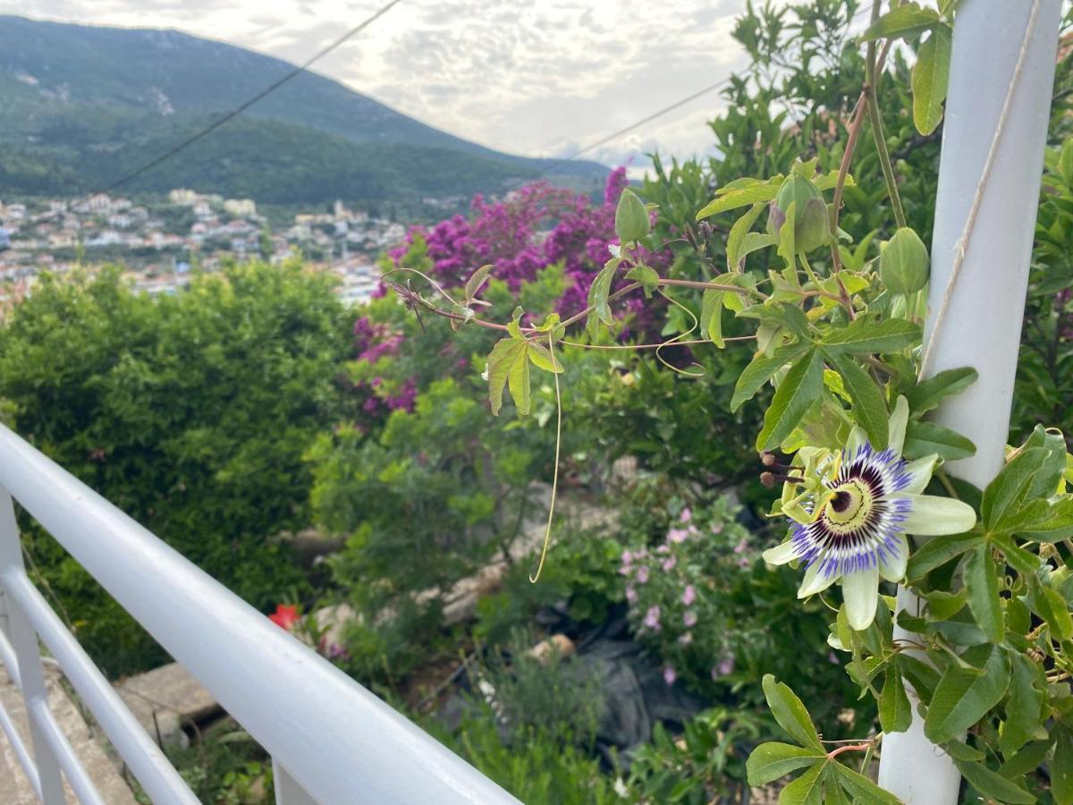 Antiklea Vathy (Ithaca)