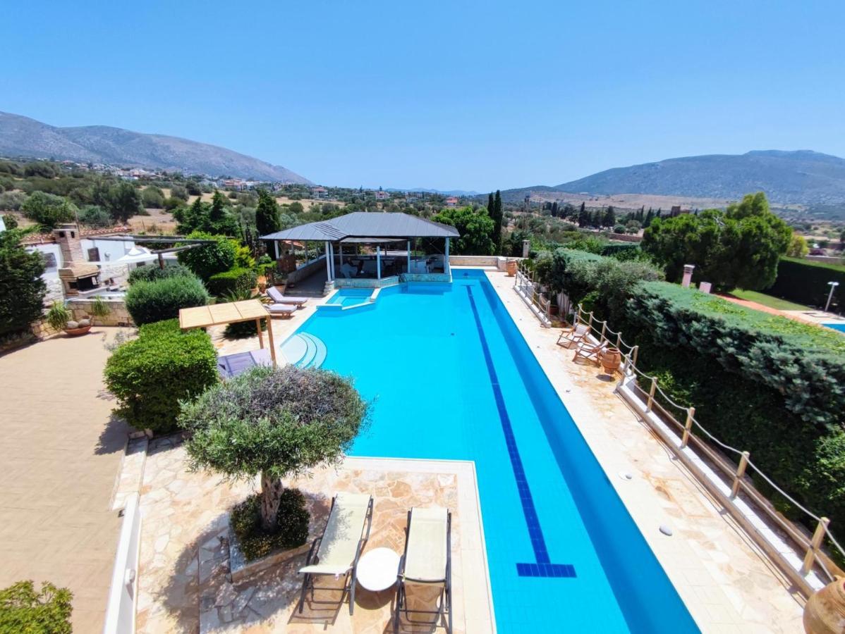Summer Lagonissi Villa