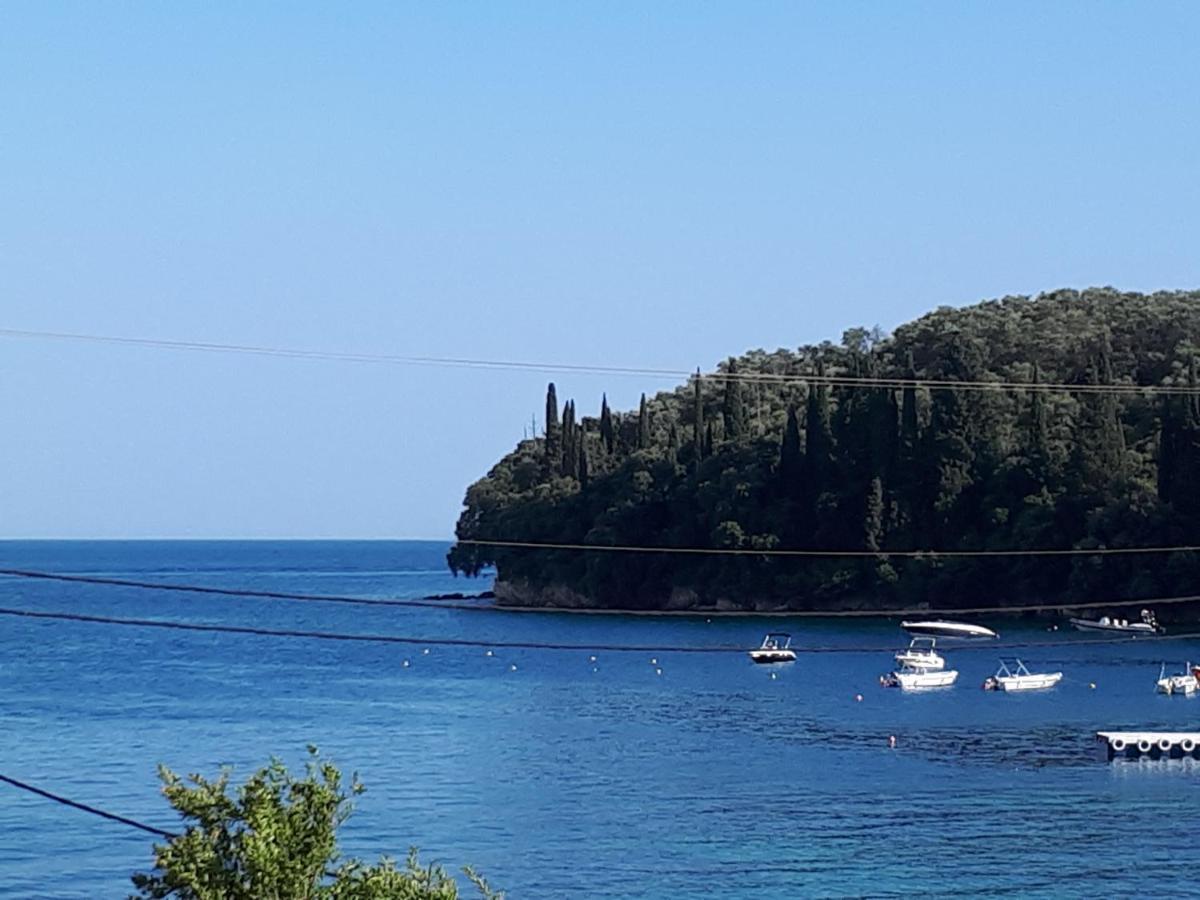 Garneli * Kalami (Corfu)