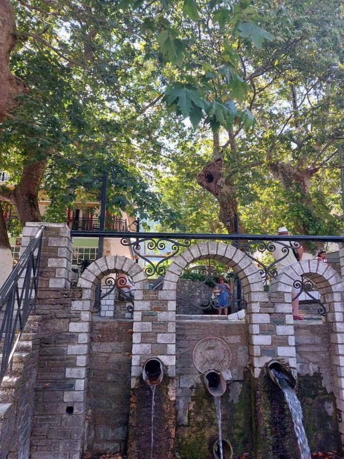 Amaya Pine Panagia (Thasos)