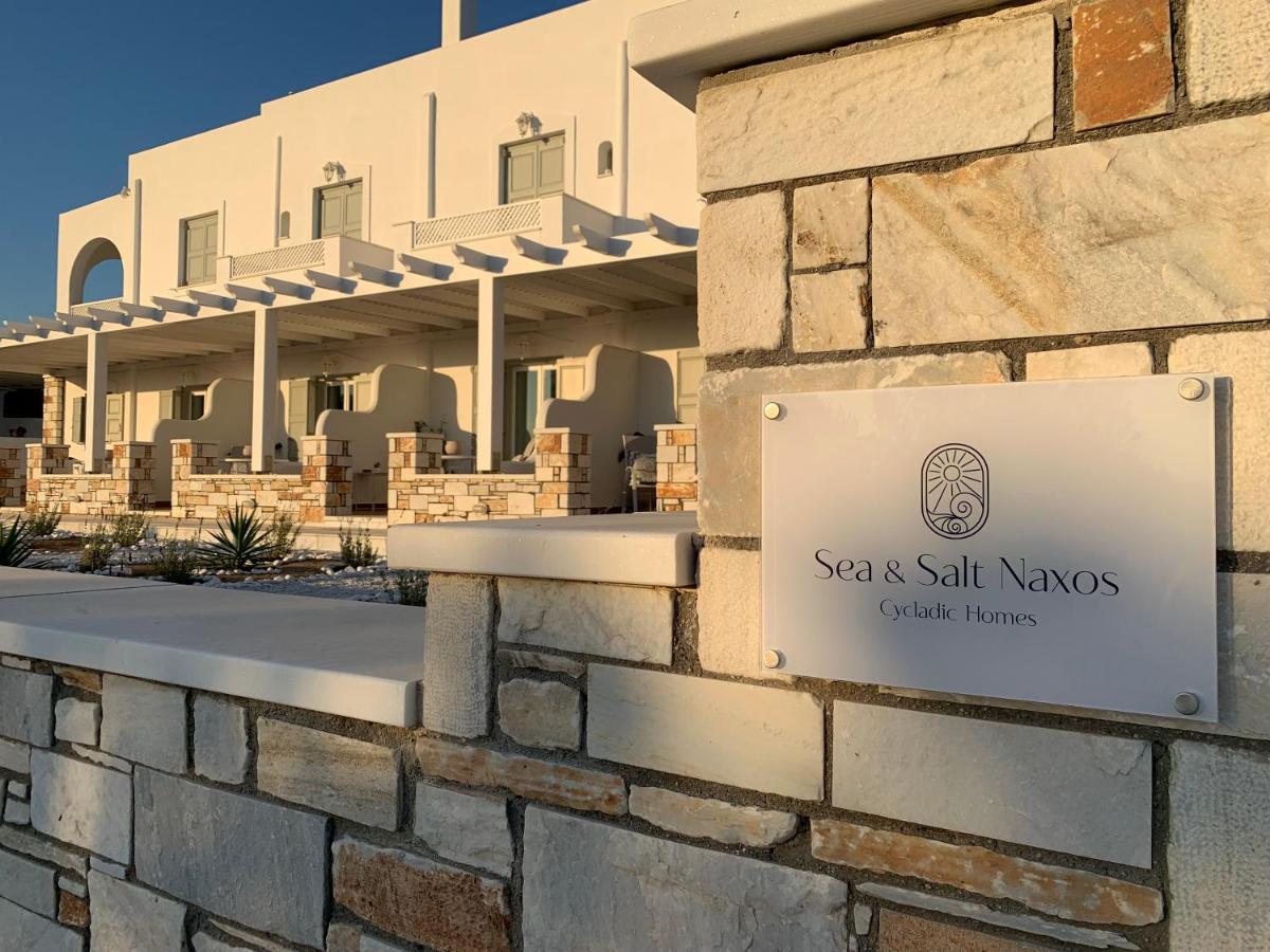 Apartment Sea And Salt Naxos 2 *