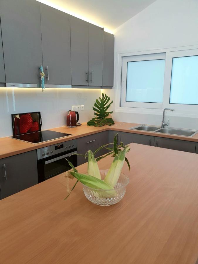 Apartment Apollon