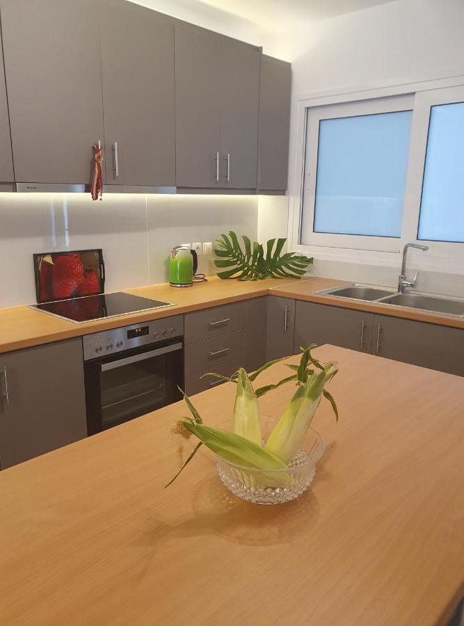 Artemis Apartment