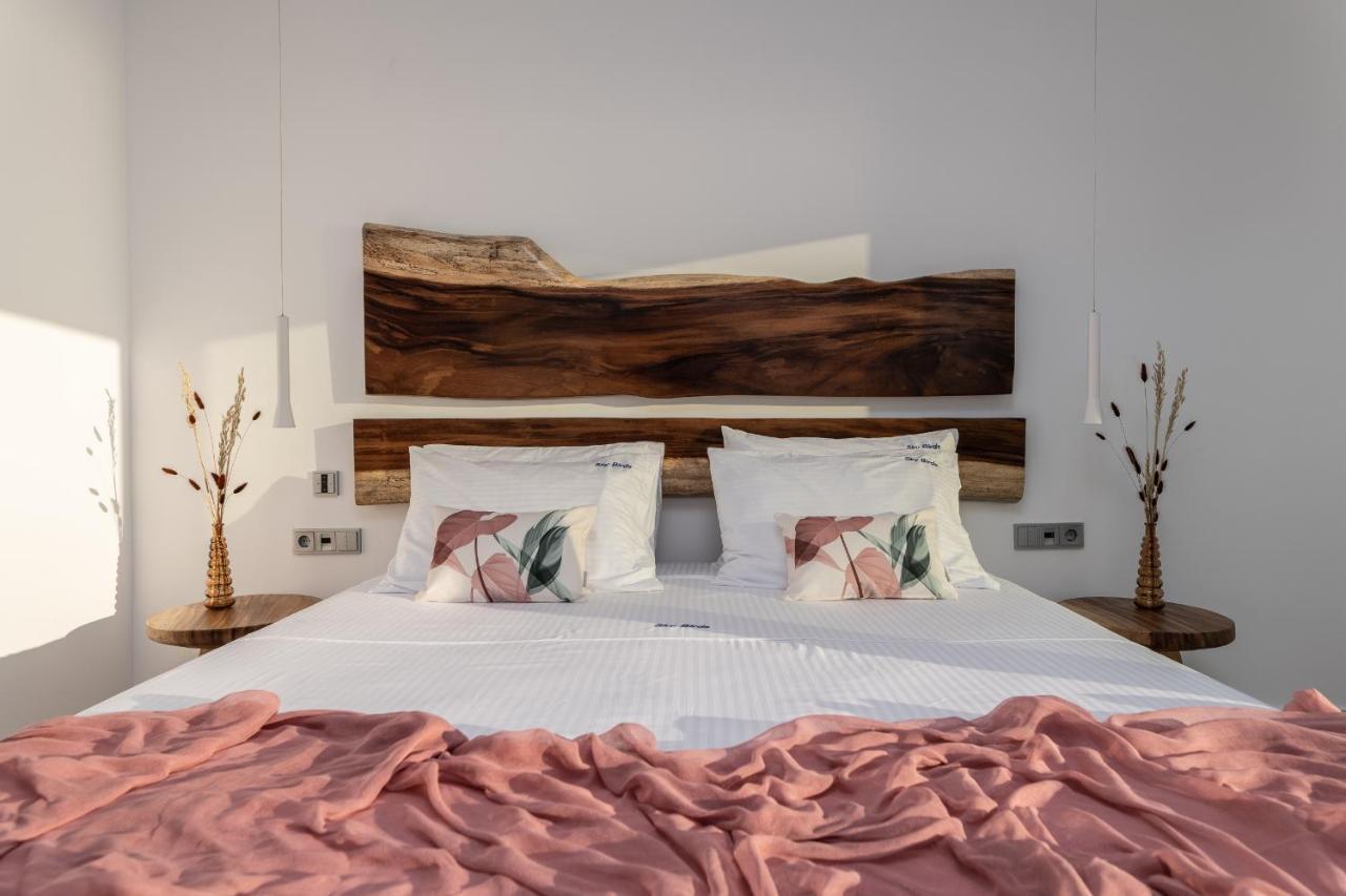 Sky Birds - Holistic Escape Apartment Skinaria