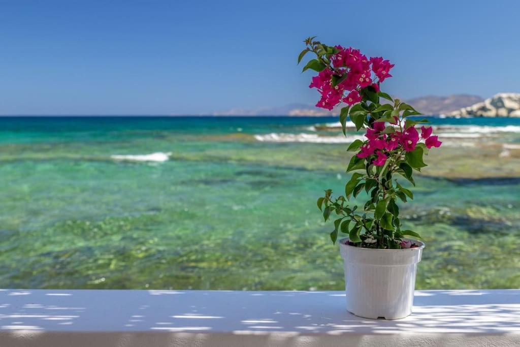 Holiday home Esperanza Boathouses Mandrakia