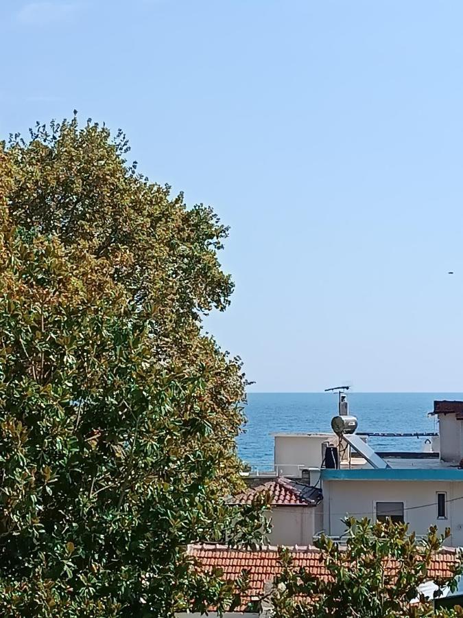 Niki Sea View Attic Apartment Platamonas