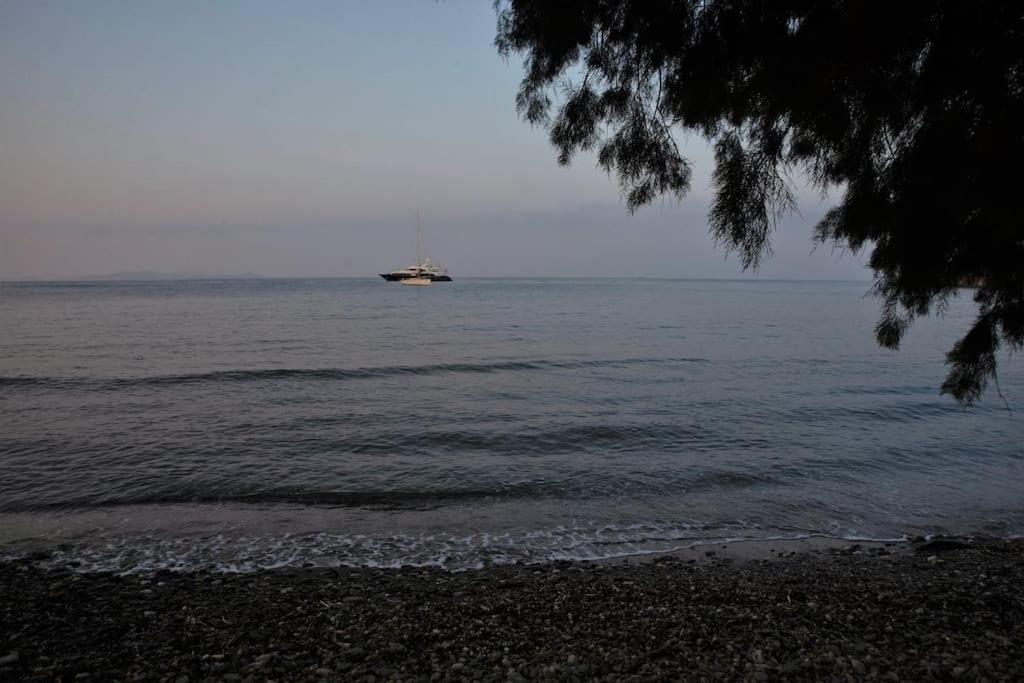 Tinion Fos Tinos