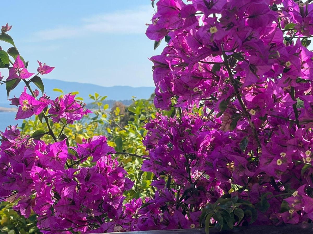 Viva Inn Ouranoupoli