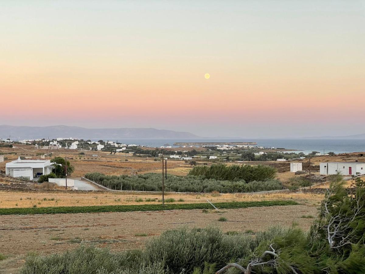 Holiday home Antilio Chrisi Akti (Paros)