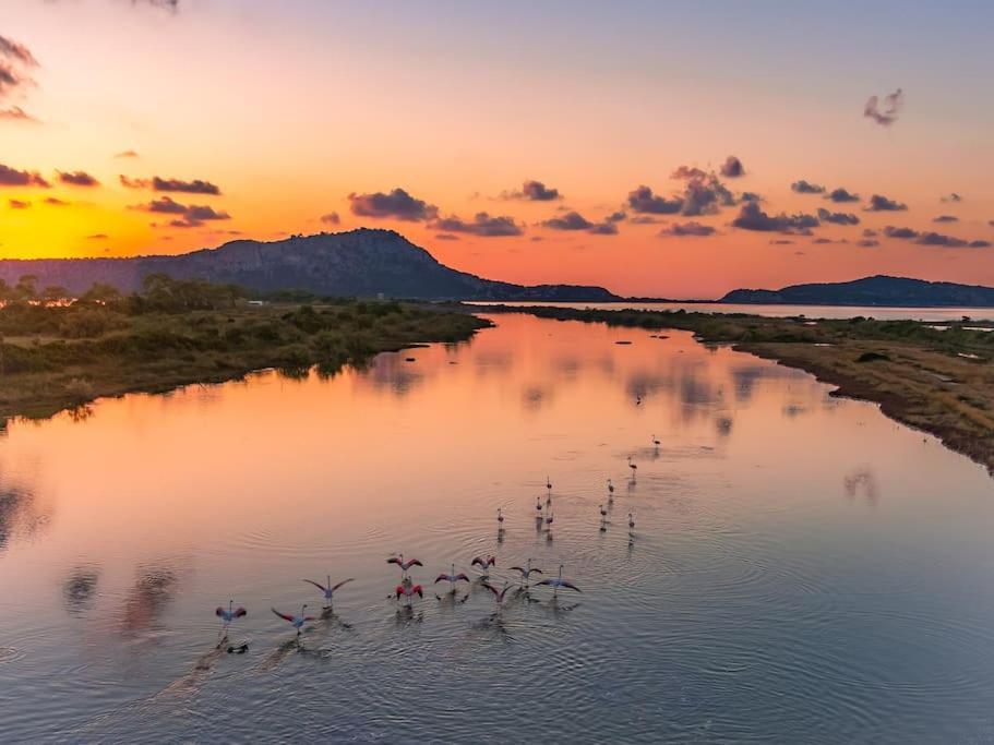 Ginas 1 Kyparissia