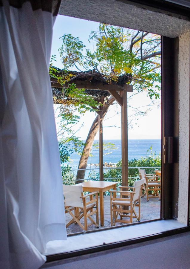 Guest house Marina