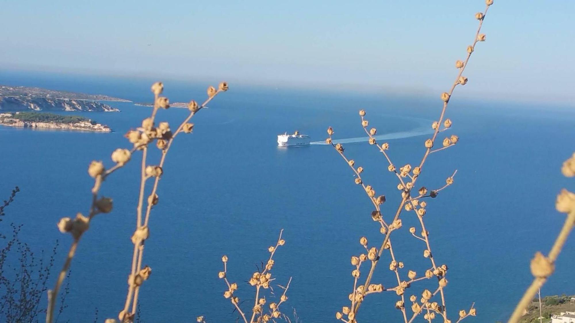 Palace Sea View Apartment Megala Chorafia