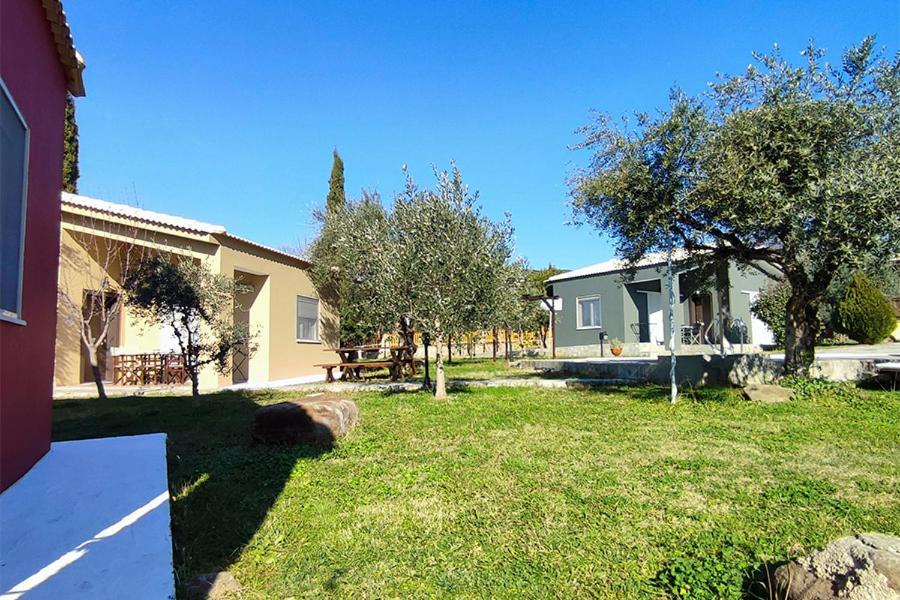 Apartment Socrates Organic Village - Wild Olive *
