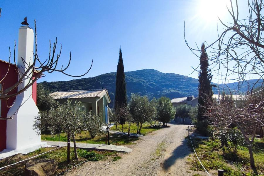 Socrates Organic Village - Wild Olive * Missolonghi