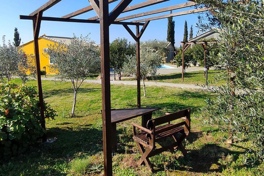 Socrates Organic Village - Wild Olive *