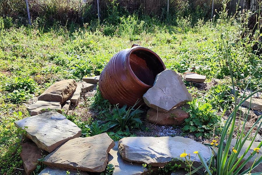 Socrates Organic Village - Wild Olive Apartment *