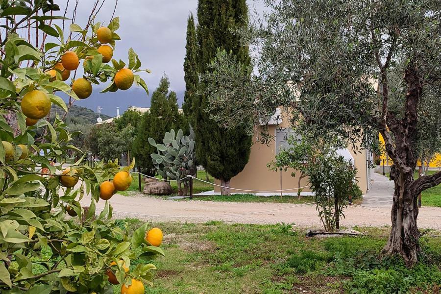 Apartment Socrates Organic Village - Wild Olive