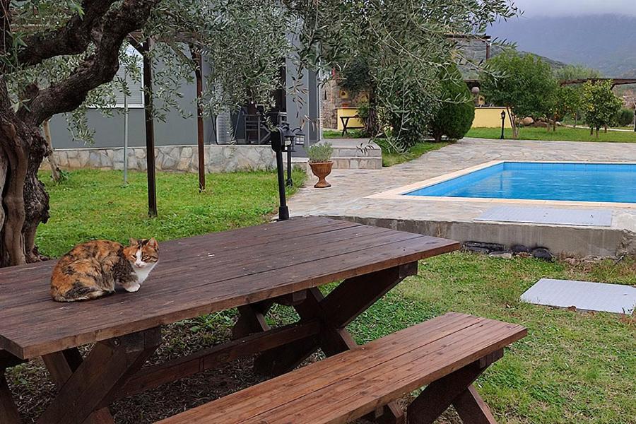 Socrates Organic Village - Wild Olive Apartment Missolonghi