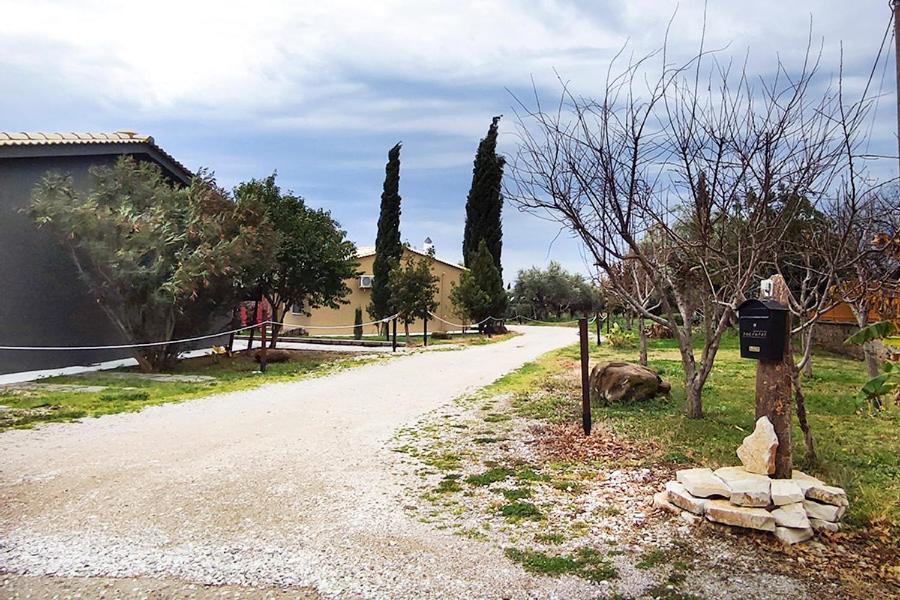Apartment Socrates Organic Village - Wild Olive *