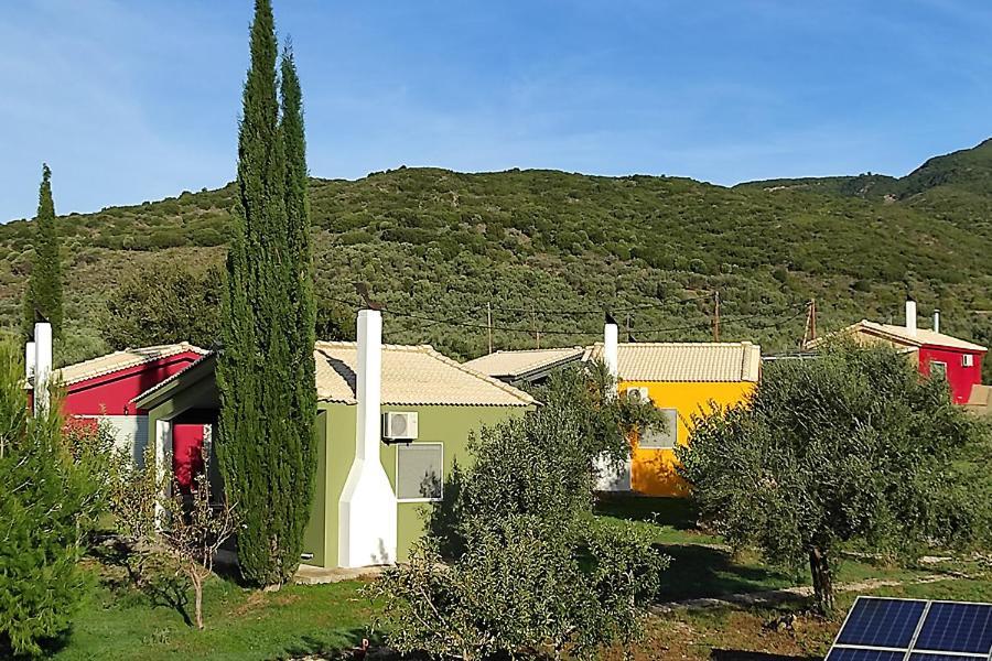 Socrates Organic Village - Wild Olive *