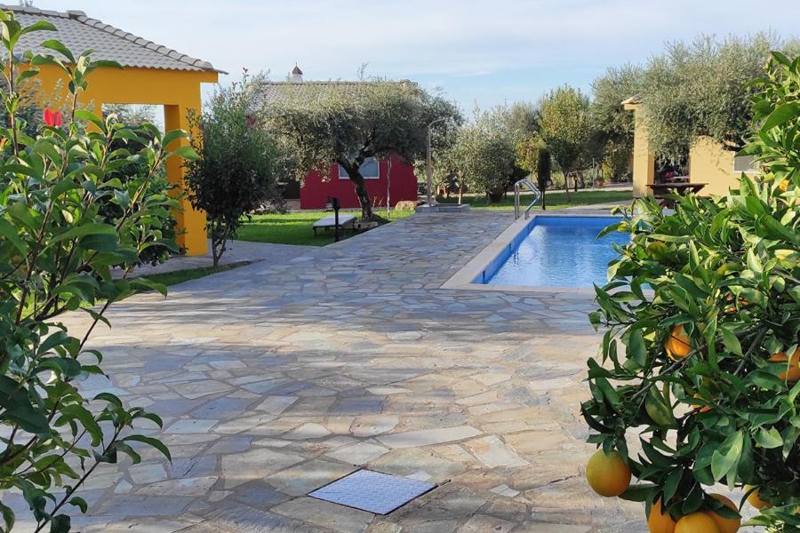 Socrates Organic Village - Wild Olive Missolonghi