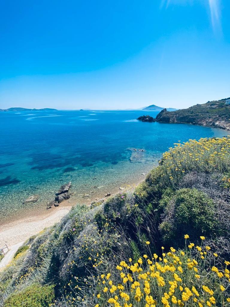Patmos Garden Sea Apartment