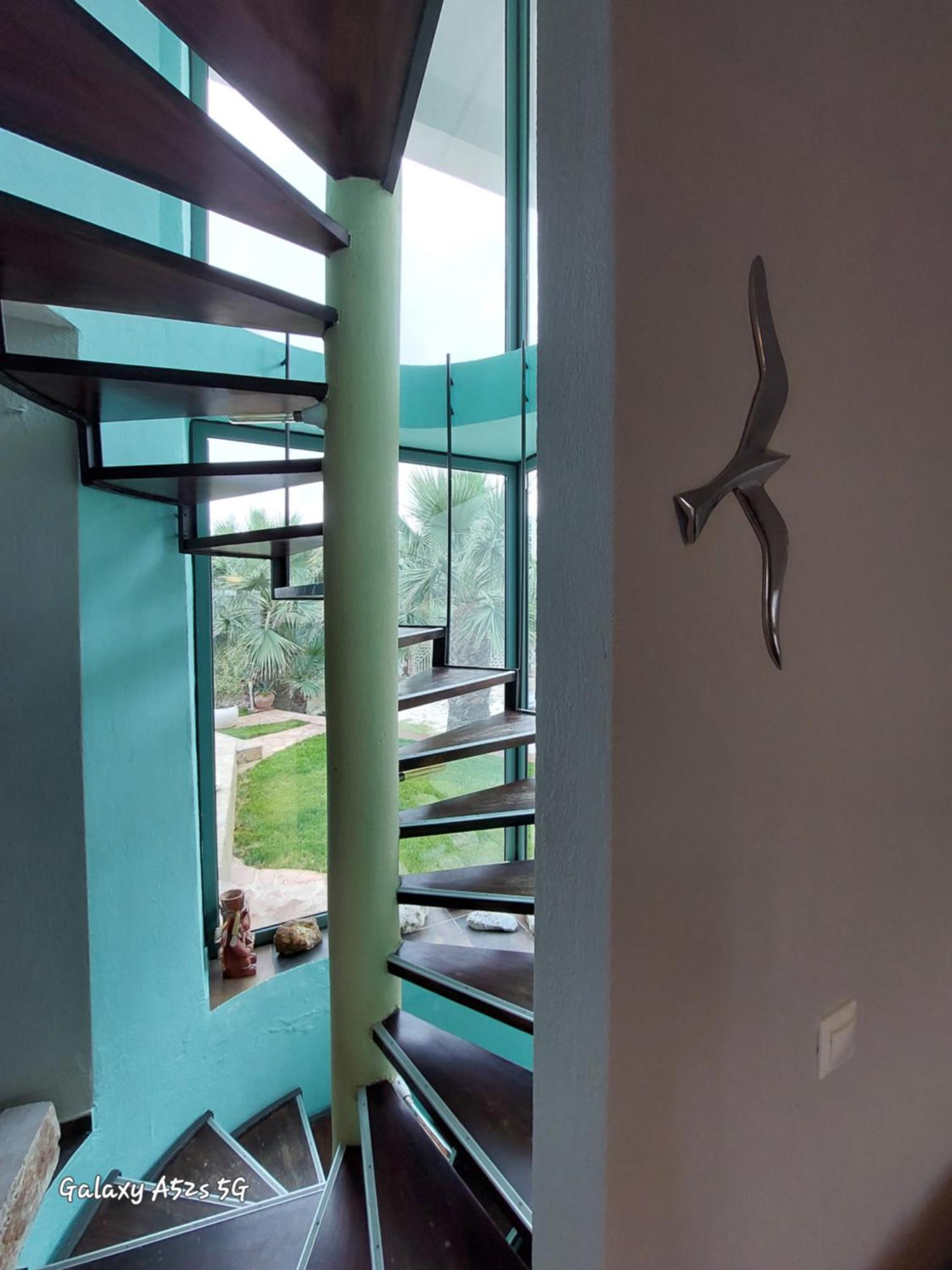 Villa Freebird Vip Bachelor Party & Wedding Events *