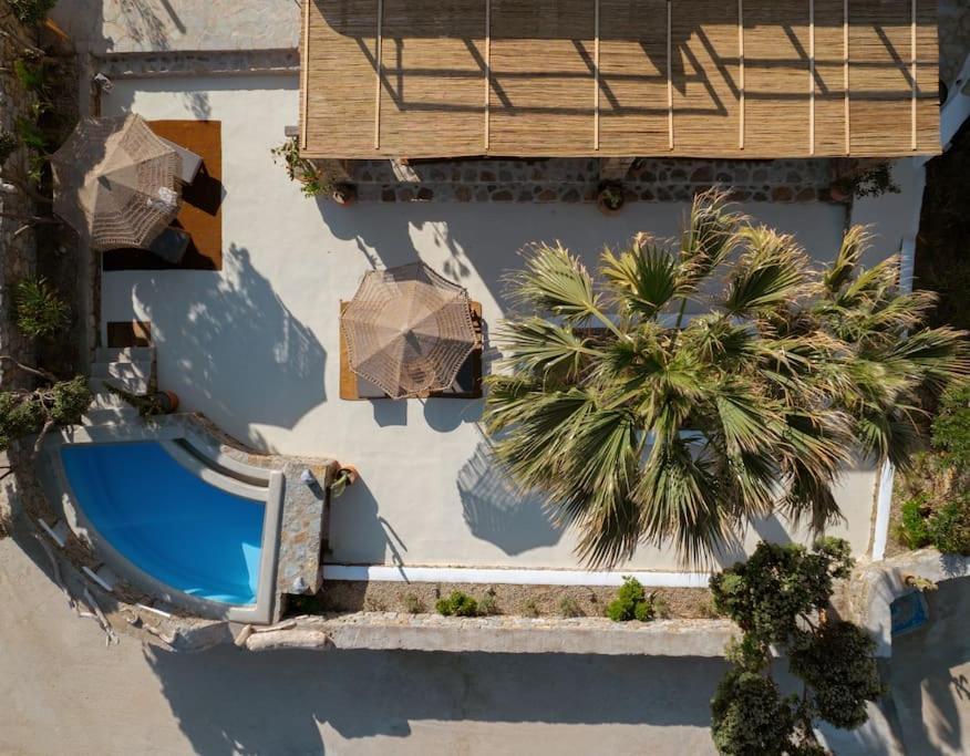 Palm Jacuzzi 200m From