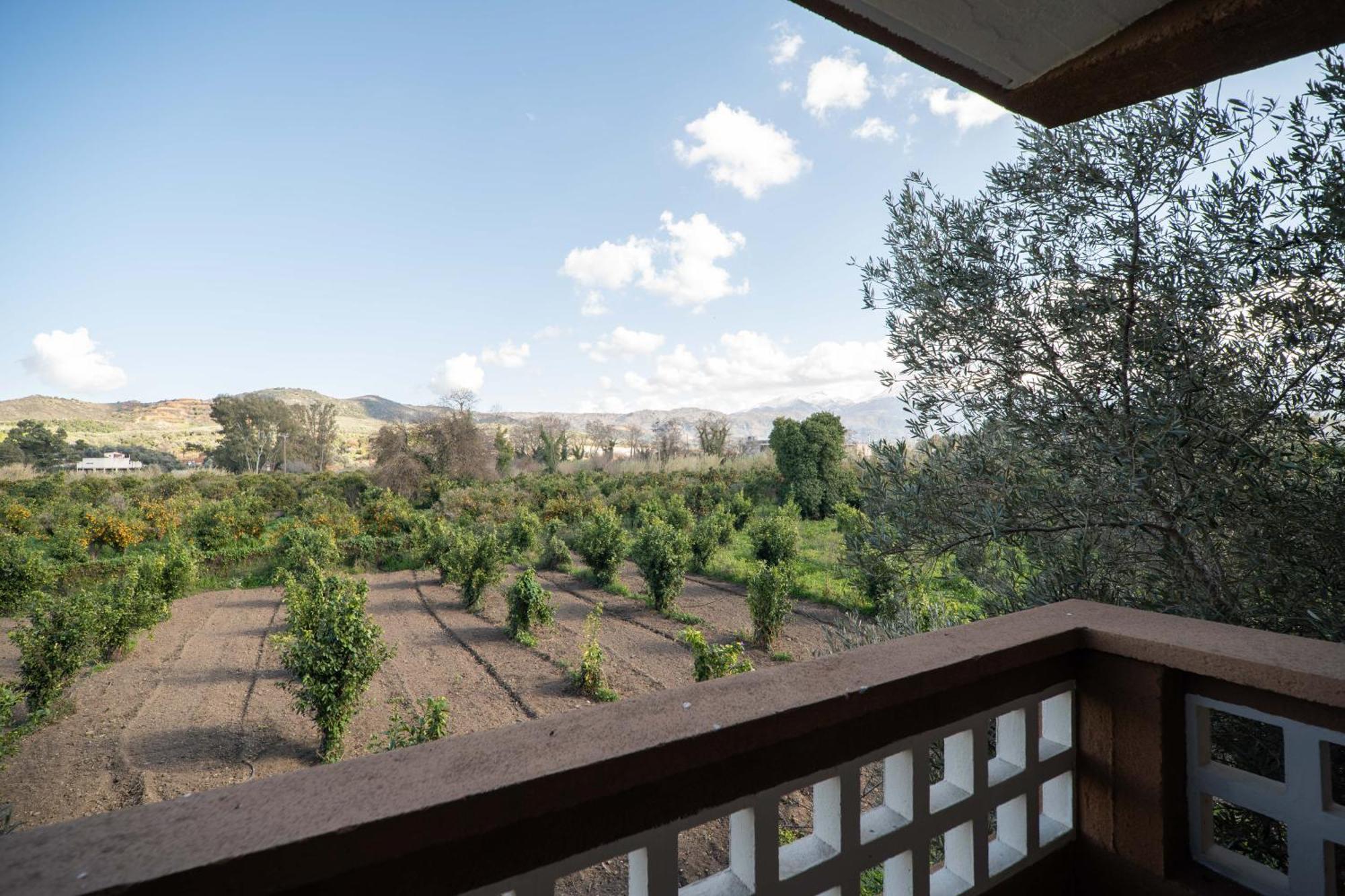 Enso Holiday home