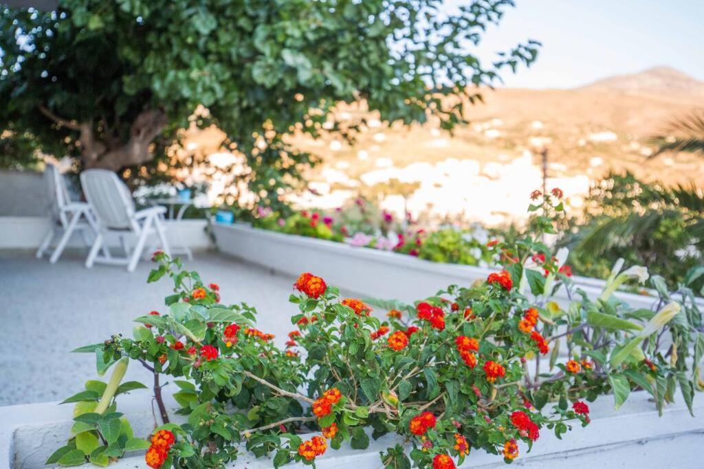 Holiday home The Cozy Nest:) Batsi (Andros)