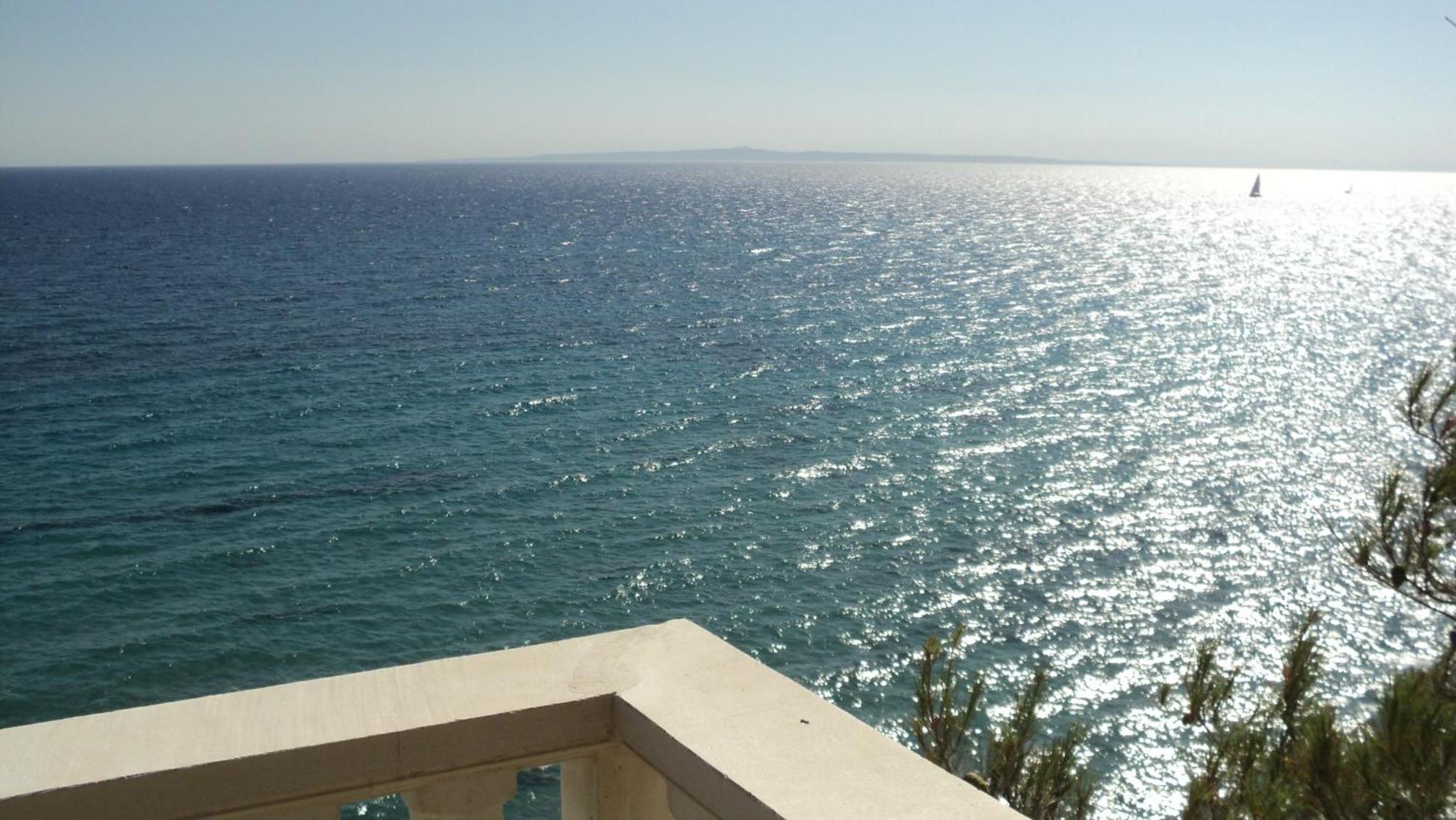 Sterre Of The Sea