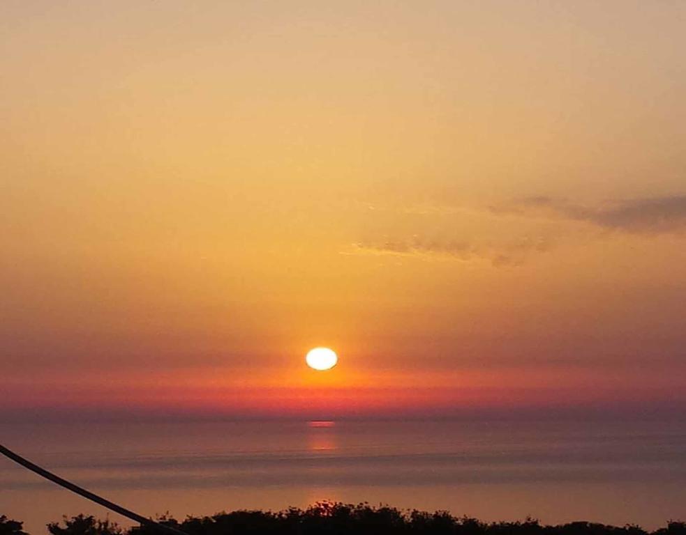 Sun Castle * Drymon