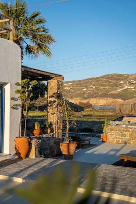 Villa Palm Jacuzzi 200m From