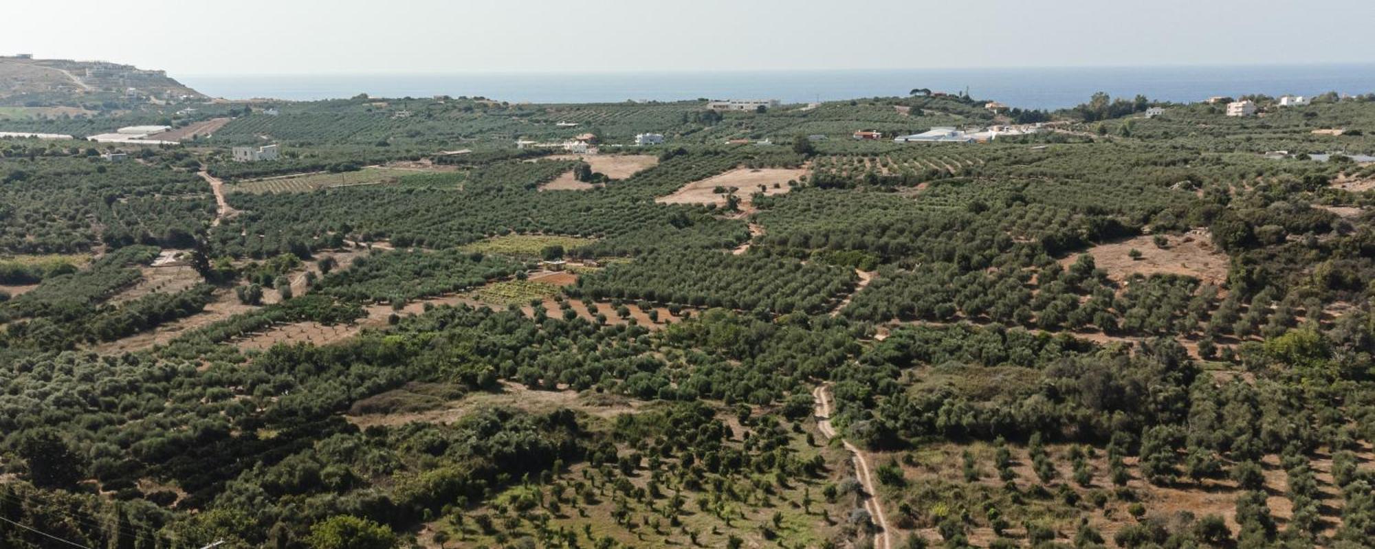 Andromache Villa Roumeli