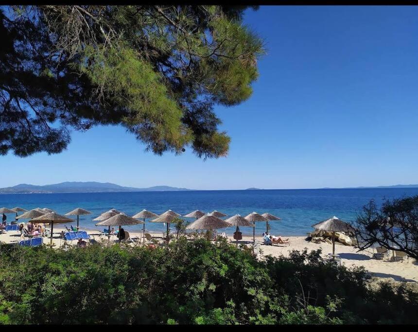 Bs Village * Metamorfosi (Sithonia)