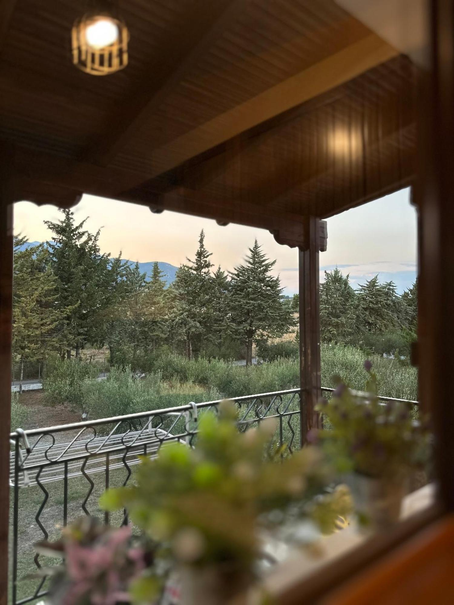 Mavitaplace Olympos Olive