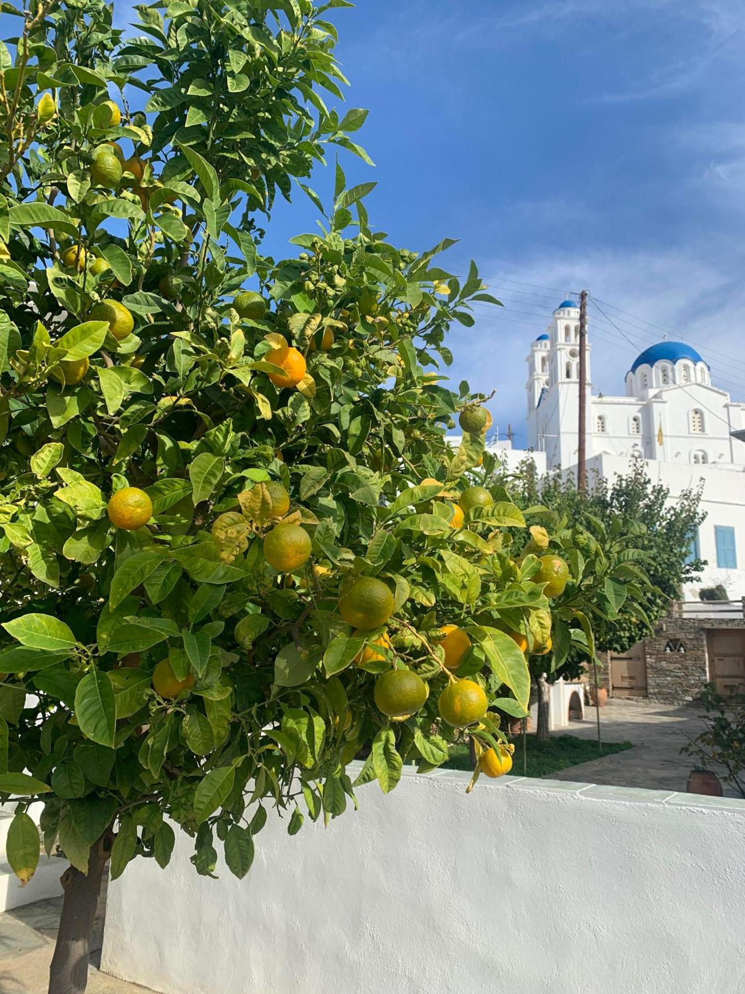 Geronti Moscha Apartment